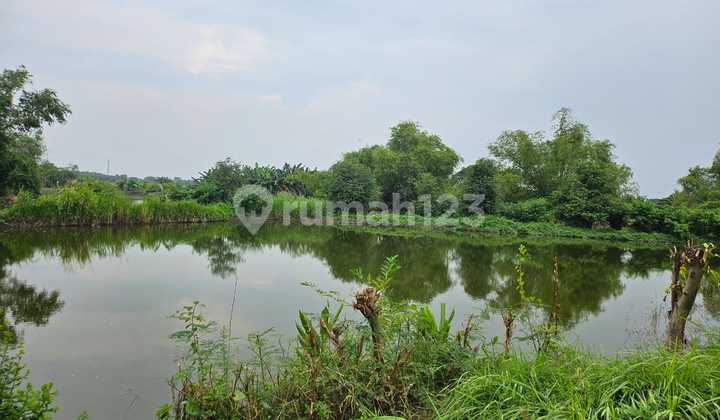 Dijual Via Lelang tanah Murah di Gresik 2