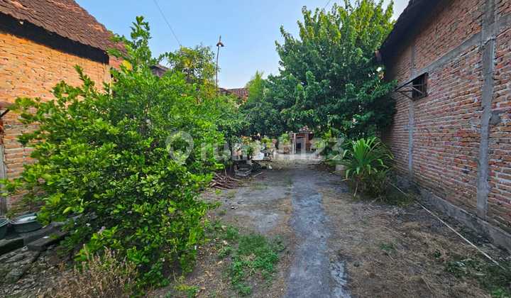 Dijual Via Lelang Rumah di Tikung Lamongan 2