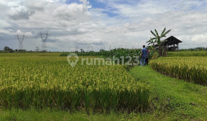 Dijual Via Lelang Tanah di lamongan 2