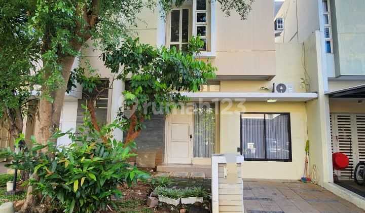 For Rent Canary House The Spring Gading Serpong For Rent Canary House The Spring Gading Serpong