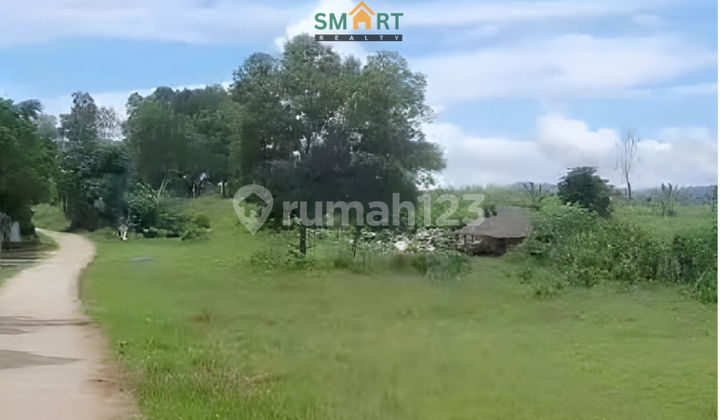 Wide Land with High Investment Potential in Tenjo, West Java.