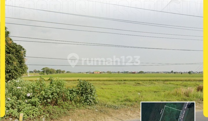 Tanah Strategis Sudah Urug, Siap bangun Zona Kuning di Baki, Sukoharjo 1