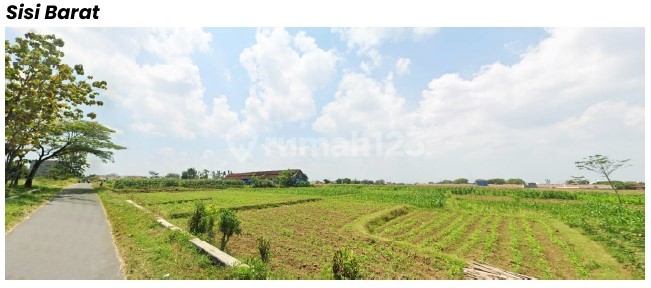 Dijual Tanah Zona Industri, Klaten, Jawa Tengah, Ada Sumber Mata Air