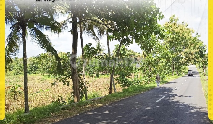 Tanah Strategis di Pinggir Jalan Raya Pracimantoro-Wonogiri, Wonogiri