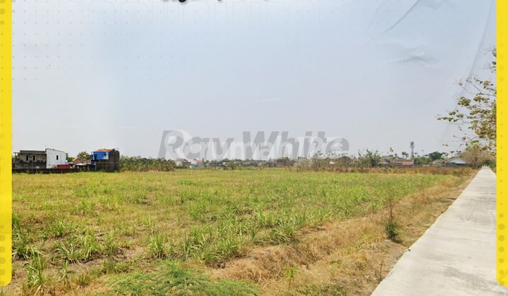 Dijual Tanah Luas 1,1Ha di Gagaksipat, Ngemplak, Boyolali Dijual Tanah Luas 1,1Ha di Gagaksipat, Ngemplak, Boyolali