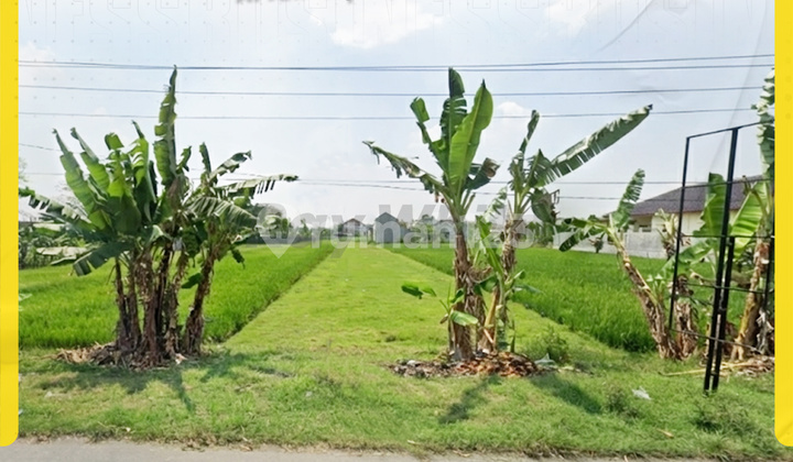 Di Jual Tanah di Jl. Jati - Sapen, Mojolaban