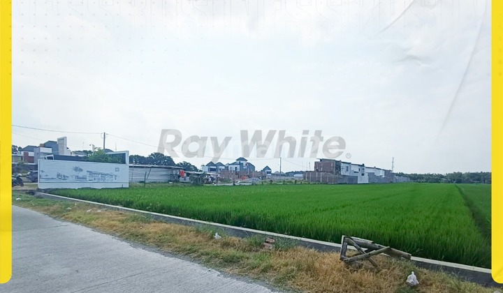 Land For Sale: Telukan, Grogol – Sukoharjo, Future Investment! Land For Sale: Telukan, Grogol – Sukoharjo, Future Investment!