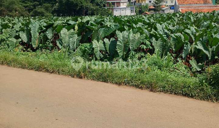 Tanah Luas di Sentul Dekat Rencana Stasiun LRT