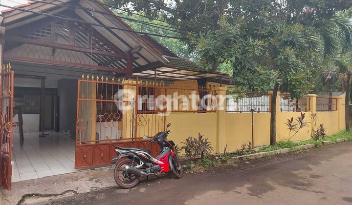 Tempat Tinggal Yg Nyaman, Aman dan Lahan Yg Luas Tempat Tinggal Yg Nyaman, Aman dan Lahan Yg Luas