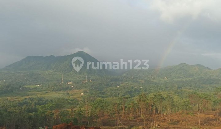 Promo Super! Jual Cepat Tanah Kavling Shm Fasilitas Premium Nuansa Alam The Hanjawong Villas