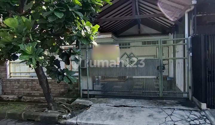 Rumah Lama dan Cantik di Area Semanan Hadap Timur