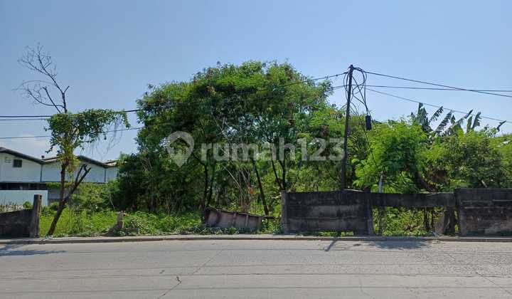 Tanah Di Kamal Cocok Utk Pergudangan Tanah Di Kamal Cocok Utk Pergudangan