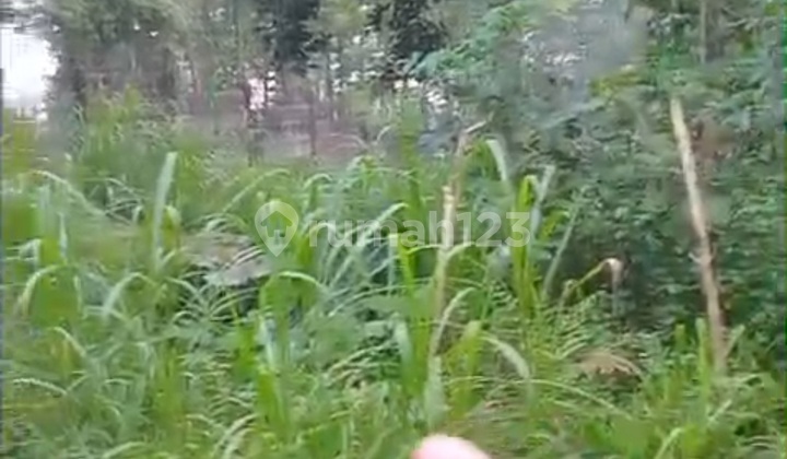 Dijual Tanah/lahan Depan Gate Kaliandra Resort Prigen