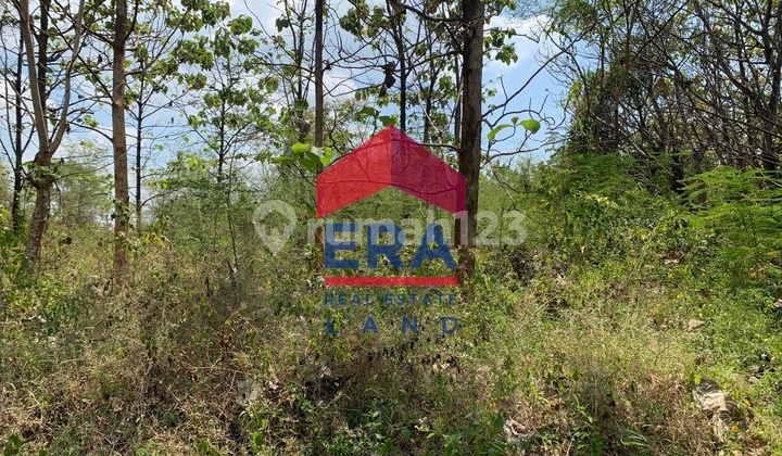 Tanah 6190 m2 SHM Tuban, Tuban