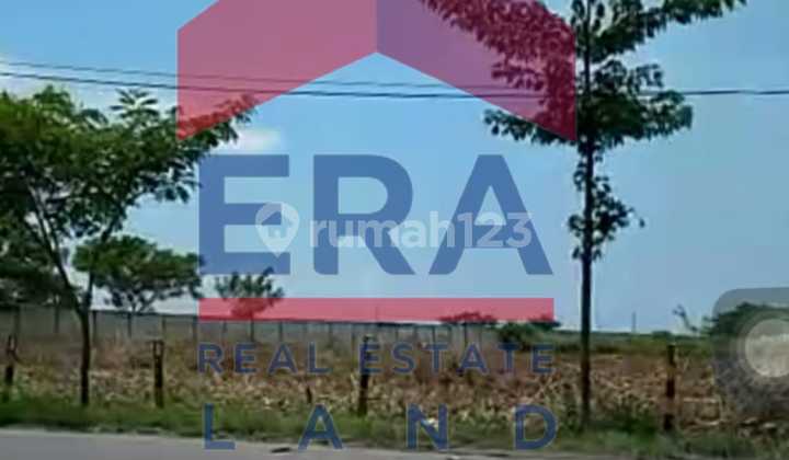 Land, SHM, in Tuban Suitable for Warehouse Construction