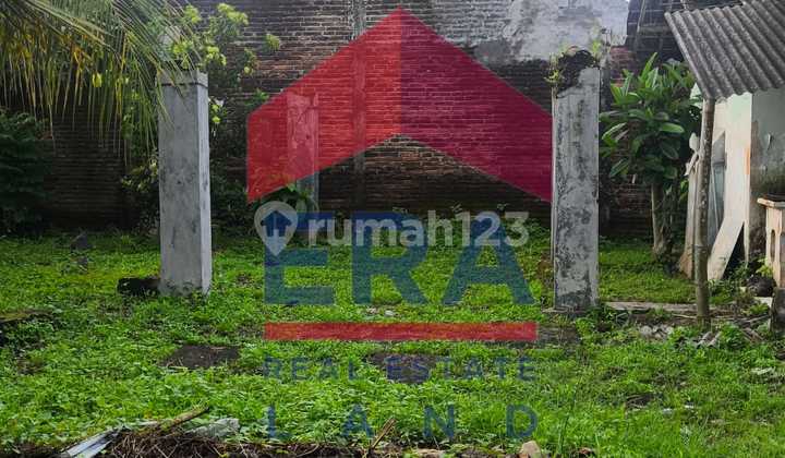 Land, Freehold Certificate, in Sumbersari Land, Freehold Certificate, in Sumbersari