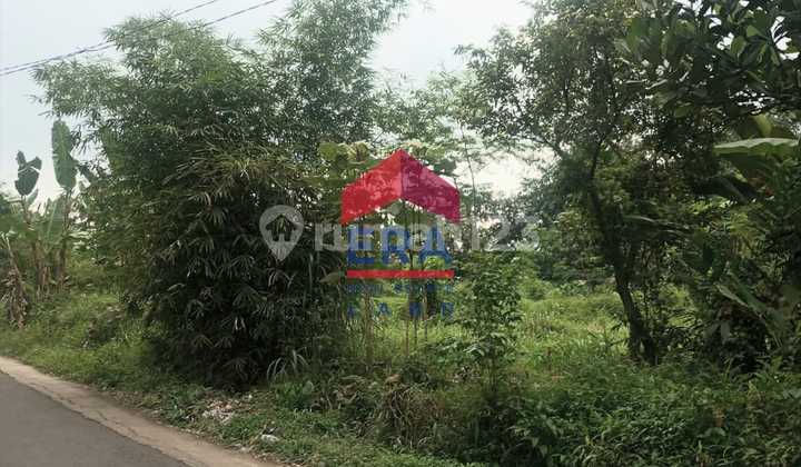 Land, SHM, in Jabung Land, SHM, in Jabung