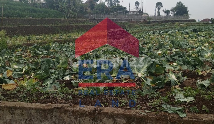 Land 1782 m2 SHM Pujon, Malang