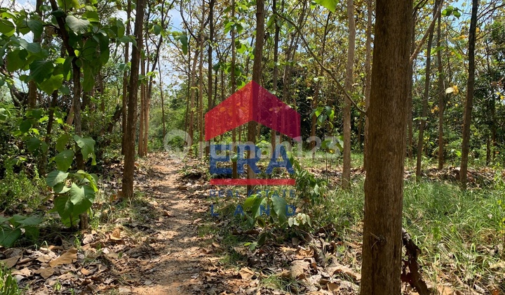 Tanah 18300 m2 SHM Tuban, Tuban