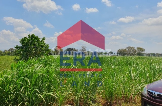 Tanah Lelang 7132 m2 SHM Desa Cendono, Kandat, Kediri