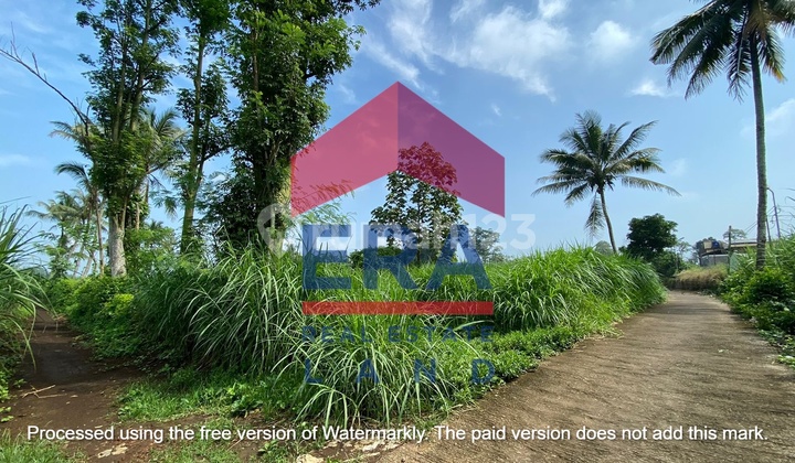 Tanah Lelang 1588 m2 SHM Desa Pakisjajar Pakis, Malang