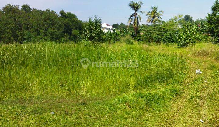 DI JUAL LAHAN 9600 METER LOKASI DI ATAS JALAN RAYA  1