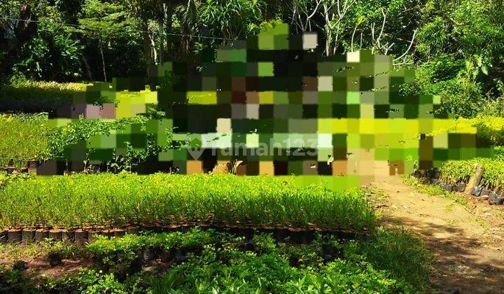 DI JUAL LAHAN 9600 METER LOKASI DI ATAS JALAN RAYA  2