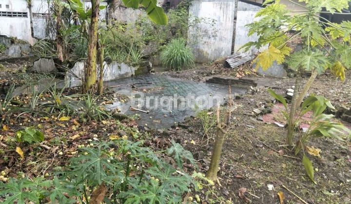 TANAH 260 VETPUR RAYA