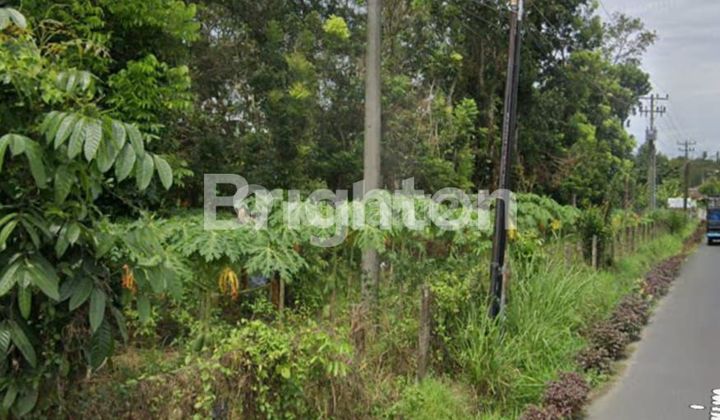 TANAH 5000m² TANAH 5000m²