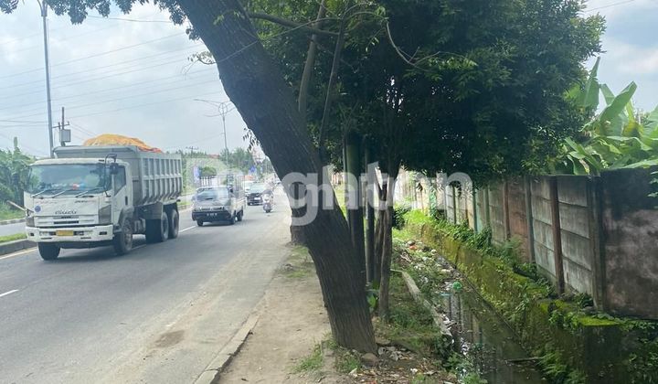 TANAH 9800,03 SM.RAJA 