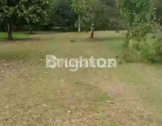 TANAH KEBUN DURIAN 2