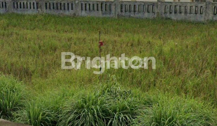 TANAH 2231 SEMAYANG TANAH 2231 SEMAYANG