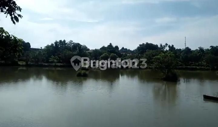 TANAH 2,4 HA TANAH 2,4 HA