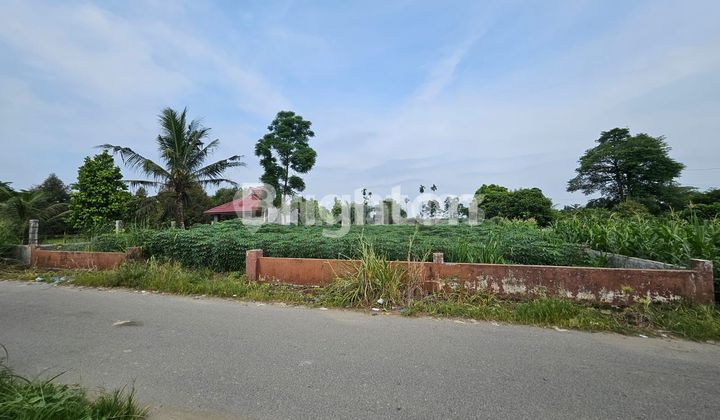 TANAH 1019 TANJUNG SELAMAT TANAH 1019 TANJUNG SELAMAT