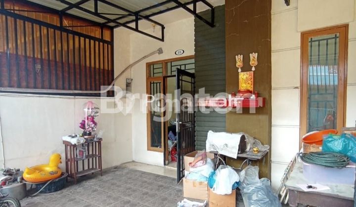 GREEN PARK PINE GREEN PARK PINE