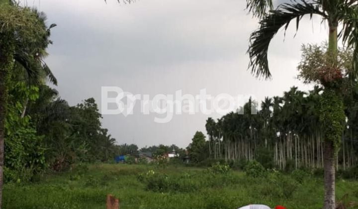 Lake Poso land, Gatot Subroto