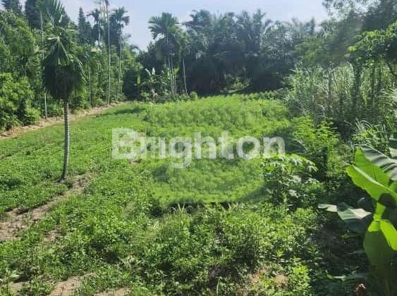 LAND 613 BTG KUIS LUBUK PAKAM