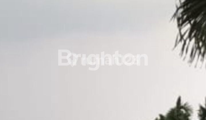 Lake Poso land, Gatot Subroto