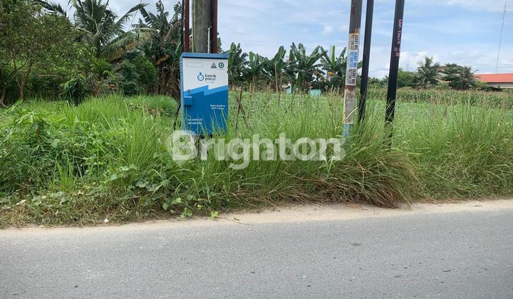 TANAH 5376 KUALA NAMU