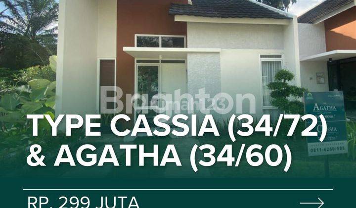 savana sumatera agatha 2