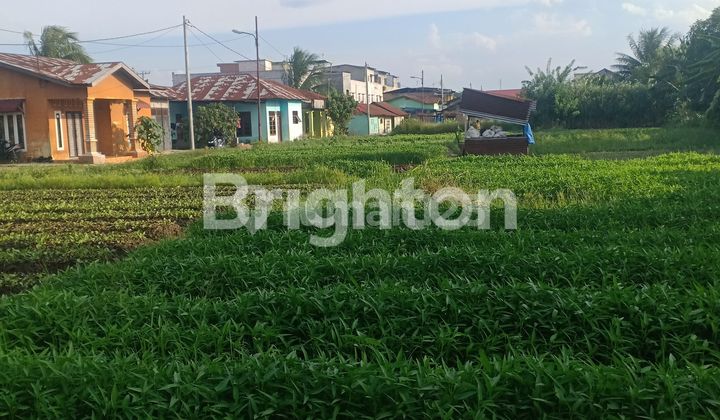 land market street 2 east land market street 2 east