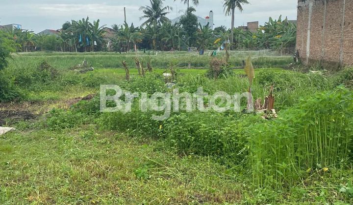 LAND 400 TASPEN KOTA BANGUN LAND 400 TASPEN KOTA BANGUN