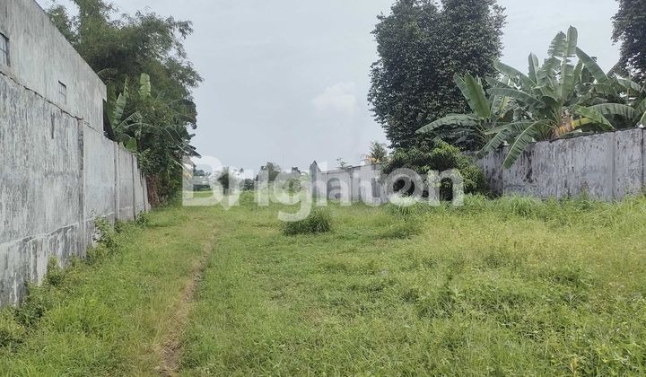 LAND 9500 M2 WEST MARKET 4 LAND 9500 M2 WEST MARKET 4