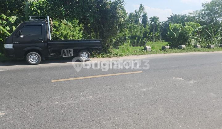 LAND 613 BTG KUIS LUBUK PAKAM