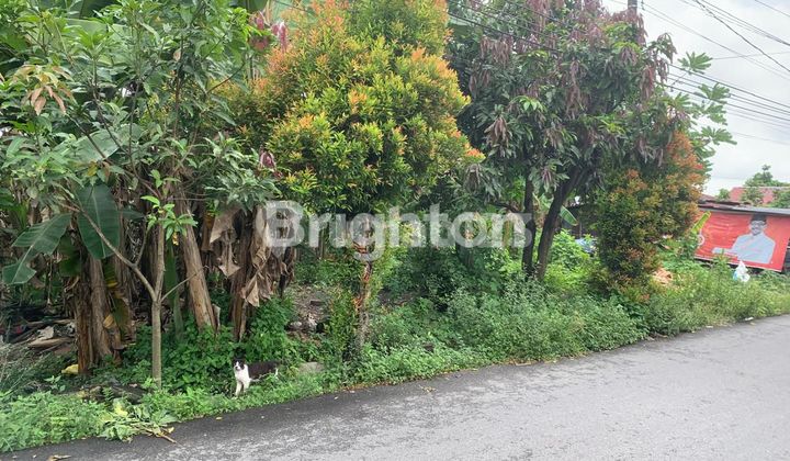 TANAH 1911,5 MESJID SUNGGAL