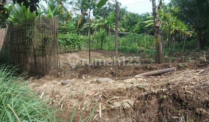 Dijual Lahan Produktif Lokasi Strategis di Kawasan Girimulyo - Kulon Progo