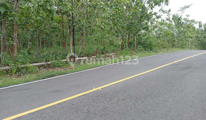 Tanah Tegal Luas 4121 Meter Persegi Lokasi Giriwungu - Panggang Gunung Kidul Tanah Tegal Luas 4121 Meter Persegi Lokasi Giriwungu - Panggang Gunung Kidul