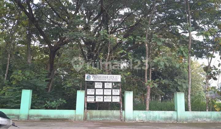 Dijual Tanah Premium Bernuansa Alam - Genjahan, Ponjong, Gunungkidul Dijual Tanah Premium Bernuansa Alam - Genjahan, Ponjong, Gunungkidul