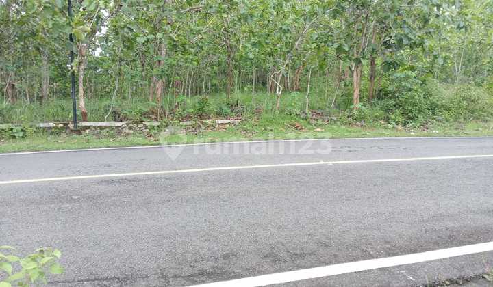 Tanah Tegal Luas 4121 Meter Persegi Lokasi Giriwungu - Panggang Gunung Kidul Tanah Tegal Luas 4121 Meter Persegi Lokasi Giriwungu - Panggang Gunung Kidul