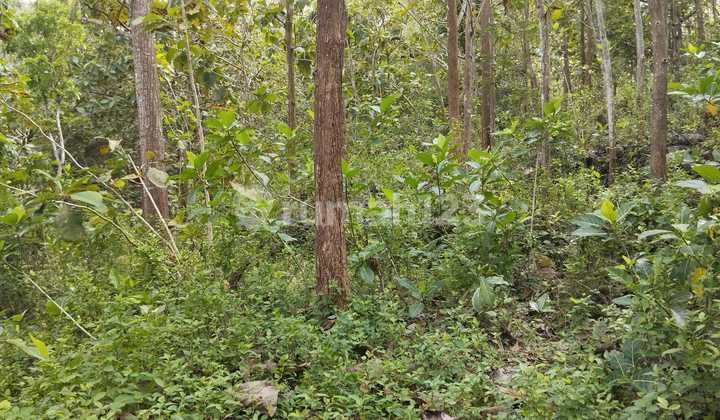 Dijual Tanah Tegal Luas 8.159 Meter Persegi  - Lokasi Strategis di Ngeposari, Semanu, Gunungkidul